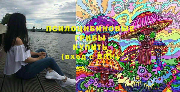 шишки Дмитриев