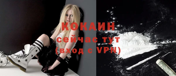 шишки Дмитриев