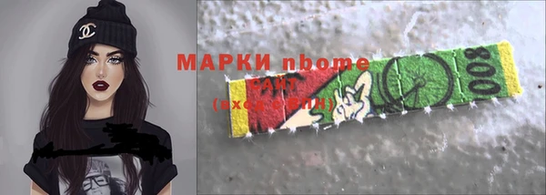 шишки Дмитриев