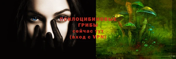 шишки Дмитриев