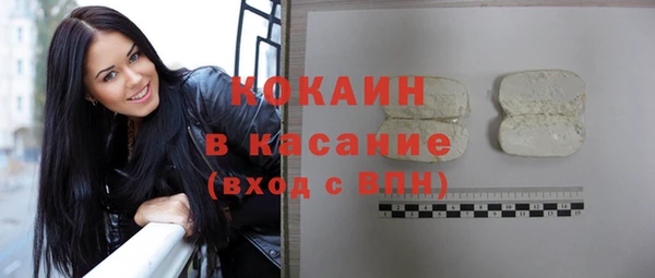 твердый Дмитровск