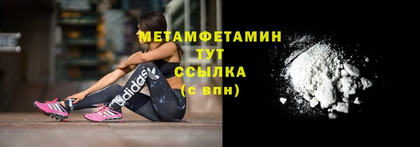 шишки Дмитриев
