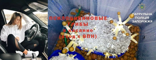 шишки Дмитриев