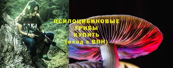 прущая мука Гусев