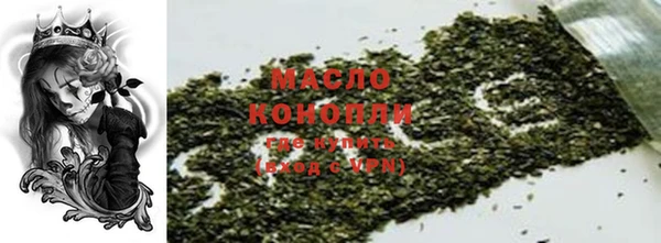 твердый Дмитровск