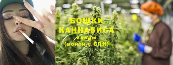 твердый Дмитровск